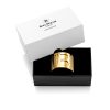 BALMAIN HAIR plaukų segtukas / Limited Edition Clip L FW21 - Image 6
