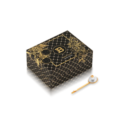 KAMPANIJA – BALMAIN HAIR Anniversary Gold & Pearl Hair Clip